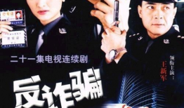 诈骗电视剧,揭秘电视剧中的诈骗手段与智慧对决